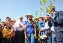 Sembrar futuro: Guanajuato se suma a Jornada Nacional de Reforestación