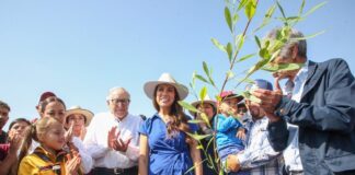 Sembrar futuro: Guanajuato se suma a Jornada Nacional de Reforestación