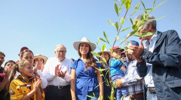 Sembrar futuro: Guanajuato se suma a Jornada Nacional de Reforestación