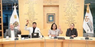 Música para la niñez, protección a adultos mayores y derechos LGBT+