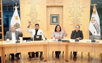 Música para la niñez, protección a adultos mayores y derechos LGBT+