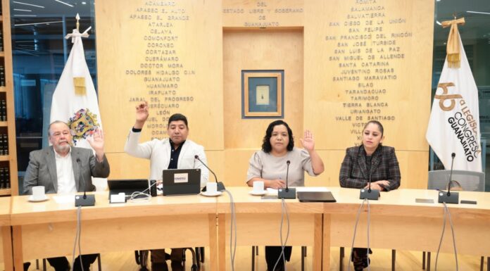 Música para la niñez, protección a adultos mayores y derechos LGBT+