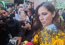 Pese a reacción criminal Guanajuato no bajará la guardia: Libia Dennise