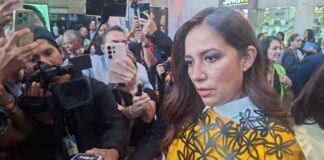 Pese a reacción criminal Guanajuato no bajará la guardia: Libia Dennise