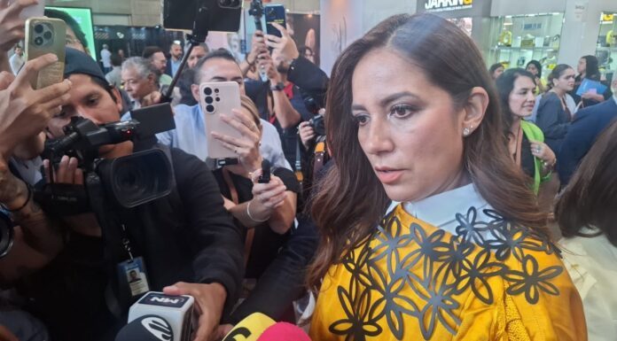Pese a reacción criminal Guanajuato no bajará la guardia: Libia Dennise