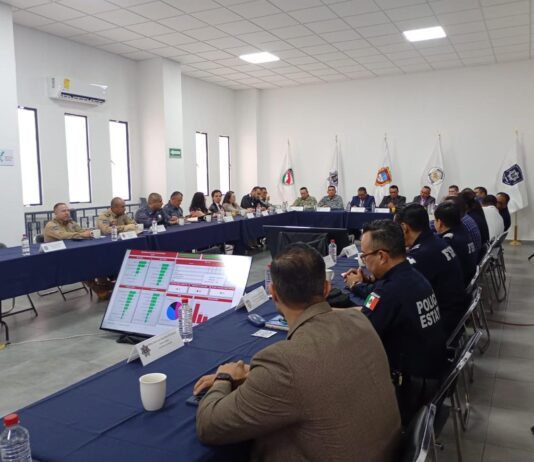 Blindan San Miguel de Allende y municipios vecinos contra el robo de vehículos