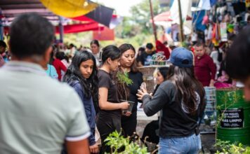 San Miguel de Allende fortalece su política ambiental