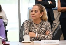PAN exige cuentas claras por Megafarmacia del Bienestar