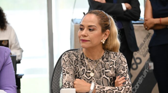 PAN exige cuentas claras por Megafarmacia del Bienestar