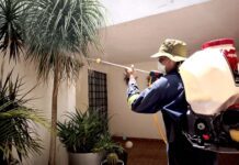 SSG mantiene acciones integrales contra mosquito transmisor de dengue