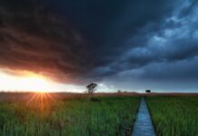 Pronostica UG una semana de contrastes climáticos en Guanajuato