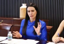 Pide licencia Michel González; llega hermana de ex gobernador Diego Sinhué