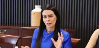 Pide licencia Michel González; llega hermana de ex gobernador Diego Sinhué