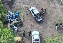 Elementos de Seguridad y Paz descubren y aseguran narcolaboratorio en Acámbaro