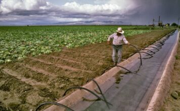 FDA realiza inspección en planta de Tylor Farms en Guanajuato