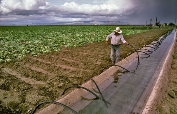 FDA realiza inspección en planta de Tylor Farms en Guanajuato