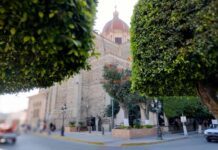 Plaza Libertad en Silao se transforma en galería abierta