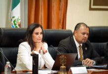 Ni empresas fachada ni corrupción van en Segundo Informe de Ale Gutiérrez