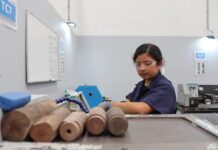 Inversión mexicana ocupa primer lugar en Guanajuato