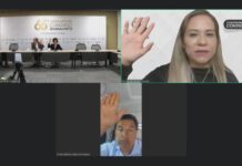 Avanzan en el Congreso de Guanajuato iniciativas contra el maltrato animal, tiraderos ilegales y contaminación del agua