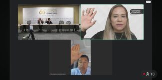 Avanzan en el Congreso de Guanajuato iniciativas contra el maltrato animal, tiraderos ilegales y contaminación del agua