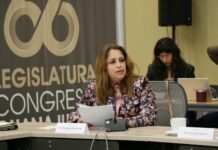 Que lista de deudores alimentarios en Guanajuato sea público: MORENA