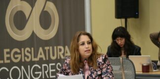 Que lista de deudores alimentarios en Guanajuato sea público: MORENA
