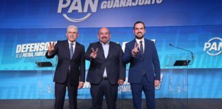 Participación y unidad fortalecen al PAN de Guanajuato: Juanita de la Cruz