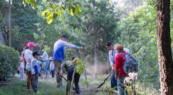 Modelo San Miguel recupera los espacios públicos