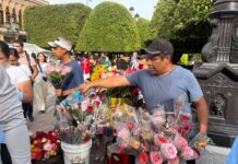 Intercambio de rosas mantiene viva la tradición del Combate de Flores en León