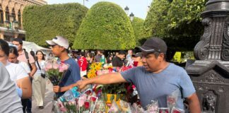 Intercambio de rosas mantiene viva la tradición del Combate de Flores en León