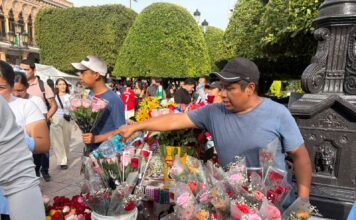 Intercambio de rosas mantiene viva la tradición del Combate de Flores en León