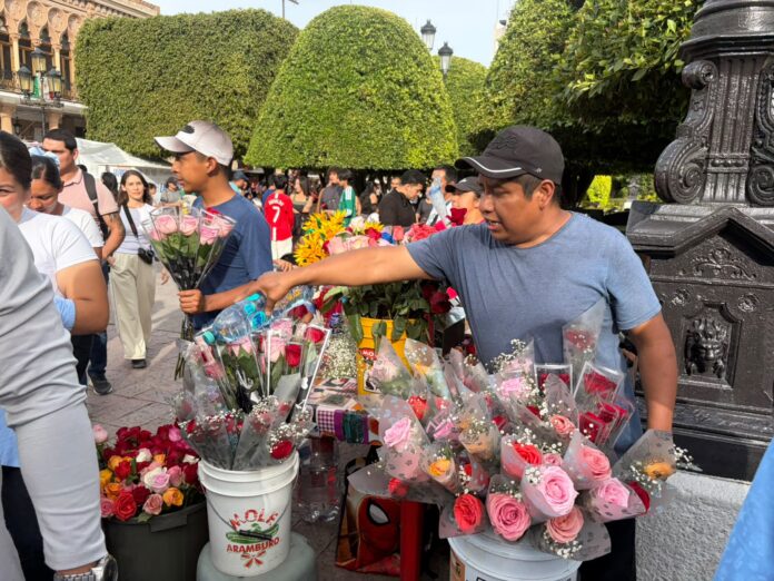 combate de rosas