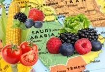 México busca diversificar exportación agroindustrial a países árabes