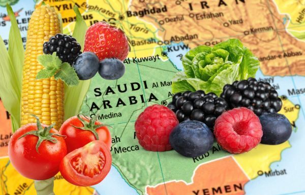 México busca diversificar exportación agroindustrial a países árabes