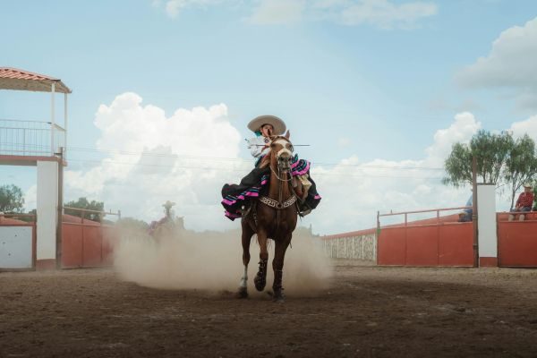 caballos