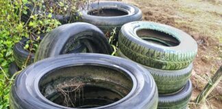 Retira SSG más de 92 mil toneladas de cacharros, posibles criaderos de dengue
