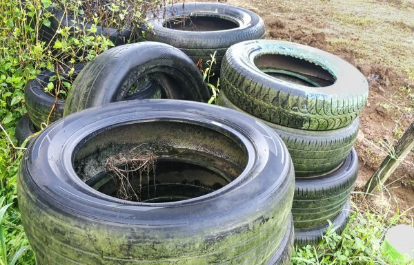 Retira SSG más de 92 mil toneladas de cacharros, posibles criaderos de dengue