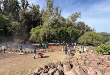 Participan 150 voluntarios en programa “Enchula Tu Parque” en León