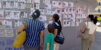 Cuestionan integración de comité revisor de registros de desaparecidos en Guanajuato