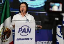 Analizan sostener alianza PRI-PAN para próxima elección: Juanita de la Cruz