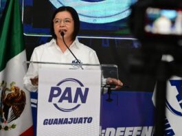 Analizan sostener alianza PRI-PAN para próxima elección: Juanita de la Cruz