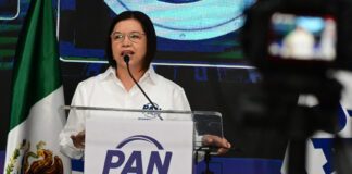 Analizan sostener alianza PRI-PAN para próxima elección: Juanita de la Cruz