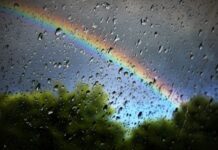 Entre miércoles y domingo aumenta probabilidad de lluvia: UG