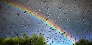 Entre miércoles y domingo aumenta probabilidad de lluvia: UG