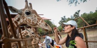 Defiende Ale Gutiérrez transparencia en el Zoológico de León