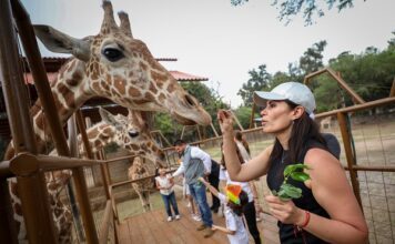 Defiende Ale Gutiérrez transparencia en el Zoológico de León