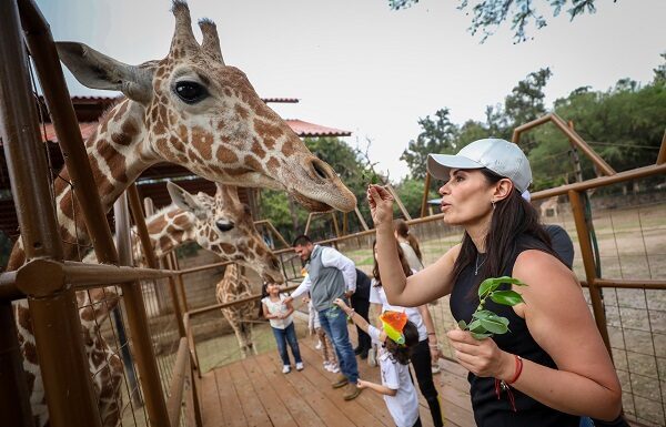 Defiende Ale Gutiérrez transparencia en el Zoológico de León