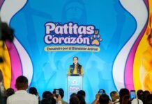 Guanajuato firma pacto para endurecer leyes y proteger a las mascotas