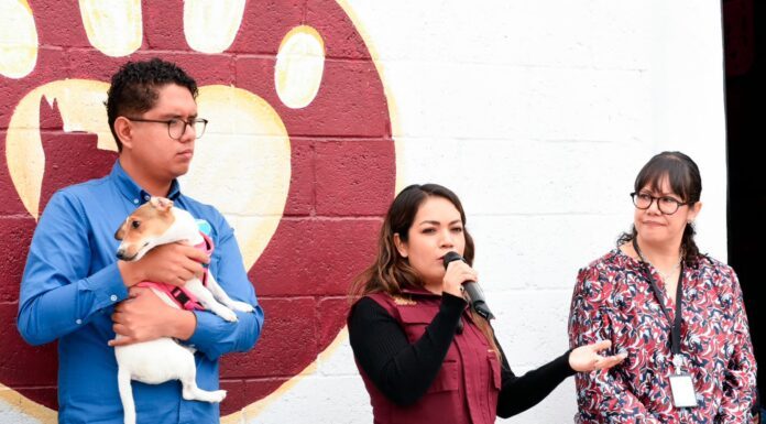 Organizan en Villagrán jornada de vacunación para seres sintientes